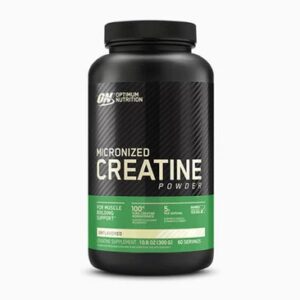 Buy Optimum Nutrition Micronized Creatine Powder 600g 