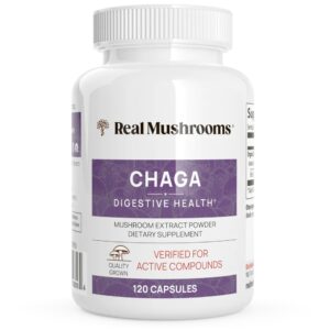 Buy Organic Chaga Mushroom Extract Online