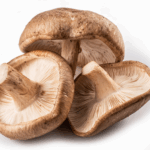 How Do Shiitake Mushrooms Support Heart Health