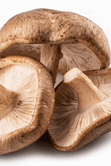 How Do Shiitake Mushrooms Support Heart Health